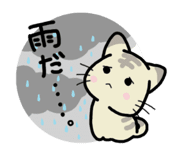 Small room of Toranosuke "rainy season" sticker #11492433
