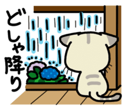 Small room of Toranosuke "rainy season" sticker #11492438