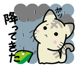 Small room of Toranosuke "rainy season" sticker #11492445