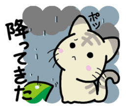 Small room of Toranosuke "rainy season" sticker #11492445