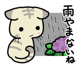 Small room of Toranosuke "rainy season" sticker #11492447