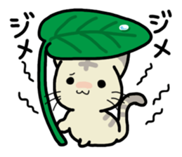 Small room of Toranosuke "rainy season" sticker #11492451