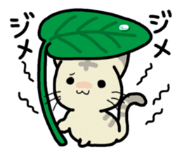 Small room of Toranosuke "rainy season" sticker #11492451