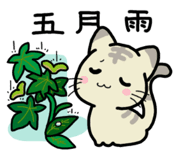 Small room of Toranosuke "rainy season" sticker #11492456