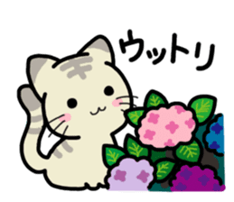 Small room of Toranosuke "rainy season" sticker #11492457