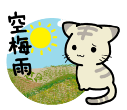 Small room of Toranosuke "rainy season" sticker #11492467