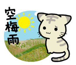 Small room of Toranosuke "rainy season" sticker #11492467