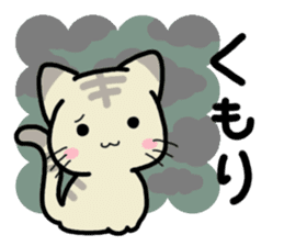 Small room of Toranosuke "rainy season" sticker #11492469