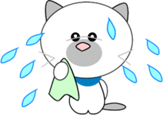 Sunny cat sticker #11492711