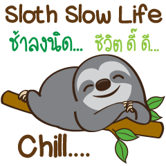 Sloth Slow Life