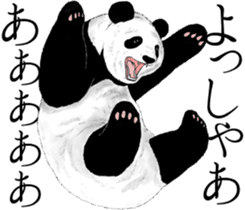 Strange pose Panda 3 sticker #11493114