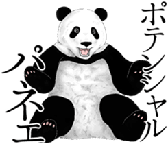Strange pose Panda 3 sticker #11493117