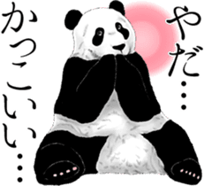 Strange pose Panda 3 sticker #11493121