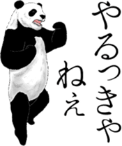 Strange pose Panda 3 sticker #11493125
