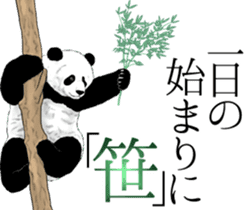 Strange pose Panda 3 sticker #11493128