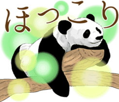 Strange pose Panda 3 sticker #11493132