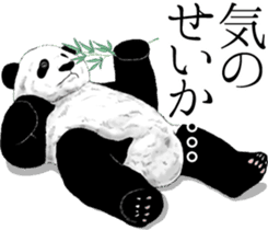 Strange pose Panda 3 sticker #11493146