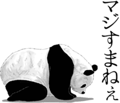 Strange pose Panda 3 sticker #11493150