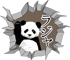 Strange pose Panda 3 sticker #11493151