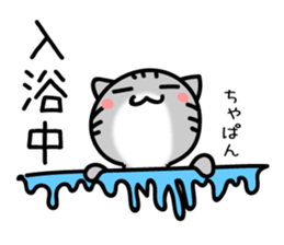 TARO 2 cat sticker #11494697