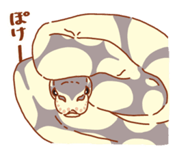 Ball python sticker #11497748