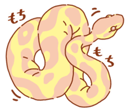 Ball python sticker #11497754