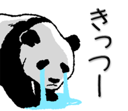 Dead language Panda2 sticker #11497844