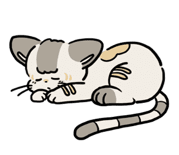 Little Cool Cat Nyan Bei sticker #11499643