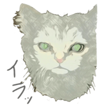 Chattering of the cat sticker #11500771