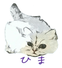 Chattering of the cat sticker #11500775