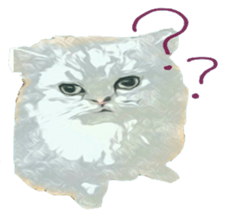 Chattering of the cat sticker #11500783