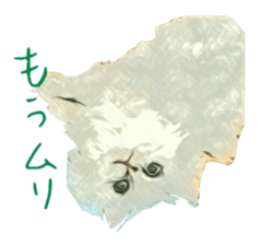 Chattering of the cat sticker #11500785