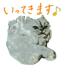 Chattering of the cat sticker #11500800