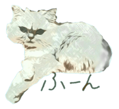 Chattering of the cat sticker #11500804