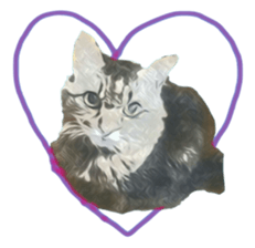 Chattering of the cat sticker #11500806