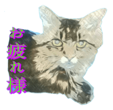 Chattering of the cat sticker #11500807