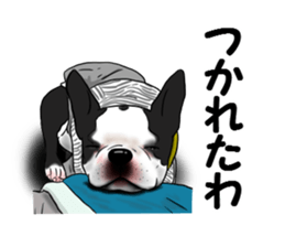 Boston terrier,Terichan sticker #11505613