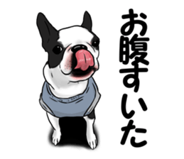 Boston terrier,Terichan sticker #11505615