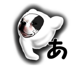 Boston terrier,Terichan sticker #11505627