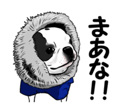 Boston terrier,Terichan sticker #11505633