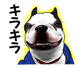 Boston terrier,Terichan sticker #11505643