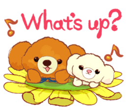 Coco & Lili English Ver. sticker #11505673