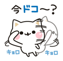 Cat to concern(Contact ver.) sticker #11506093