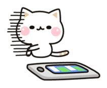 Cat to concern(Contact ver.) sticker #11506105