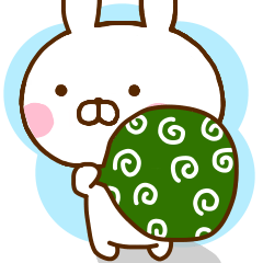 Rabbit Usahina Family