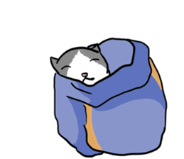sorry catie cat sticker #11509368