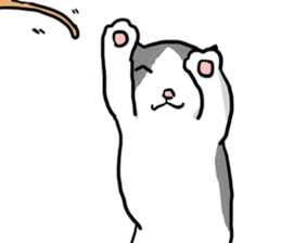sorry catie cat sticker #11509370