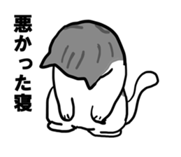 sorry catie cat sticker #11509373
