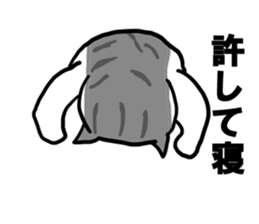 sorry catie cat sticker #11509374