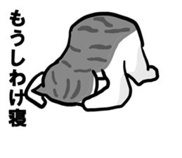 sorry catie cat sticker #11509375